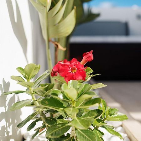 Villa Palmera Jacuzzi Yaiza  Exteriér fotografie